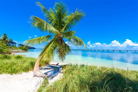 Reds Place Key West In Florida: A Fascinating Abandoned Beach